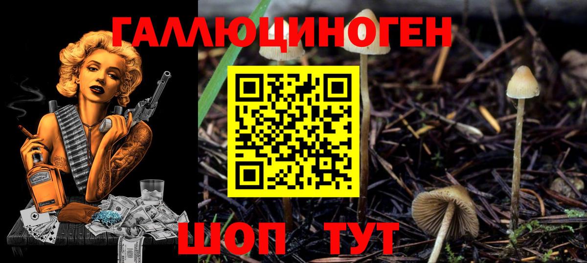 Псилоцибиновые грибы Psilocybine cubensis  Вход с VPN  закладки  Псилоцибиновые грибы MAGIC MUSHROOMS  Вольск 