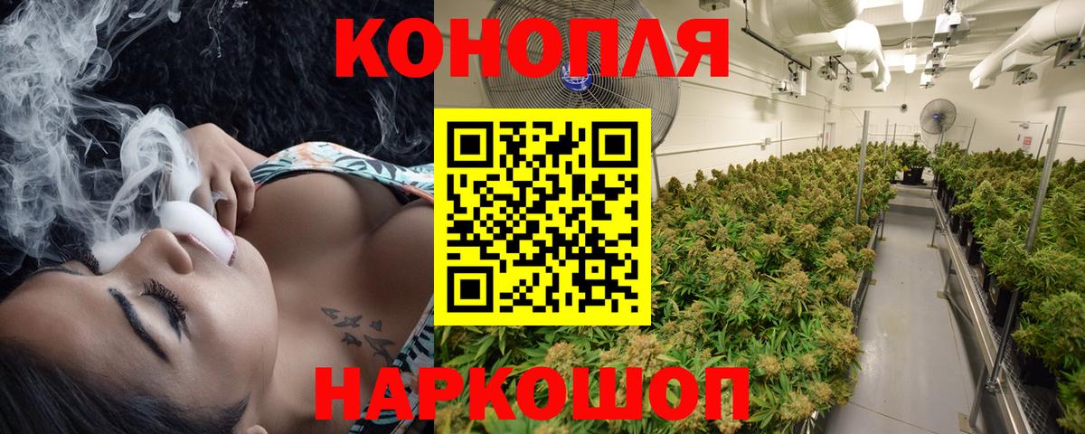 МАРИХУАНА конопля Вольск